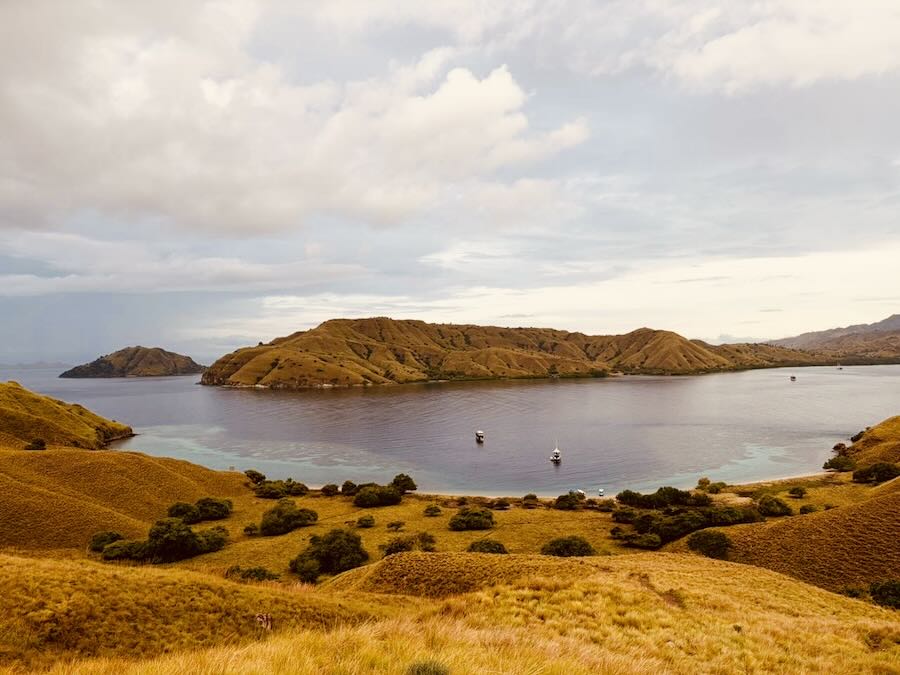 Golden hills and sheltered blue bay with anchored boats in Komodo National Park.