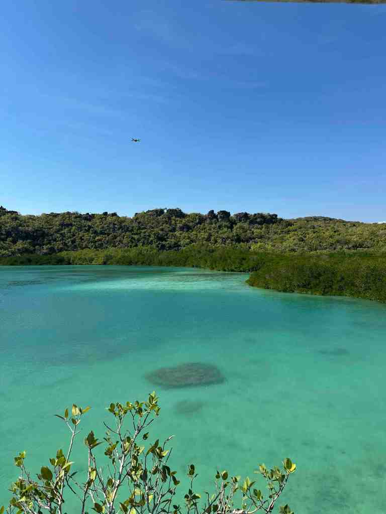 Turquoise water surrounded by limestone and greenery at Weekuri Lagoon in Rote, Indonesia