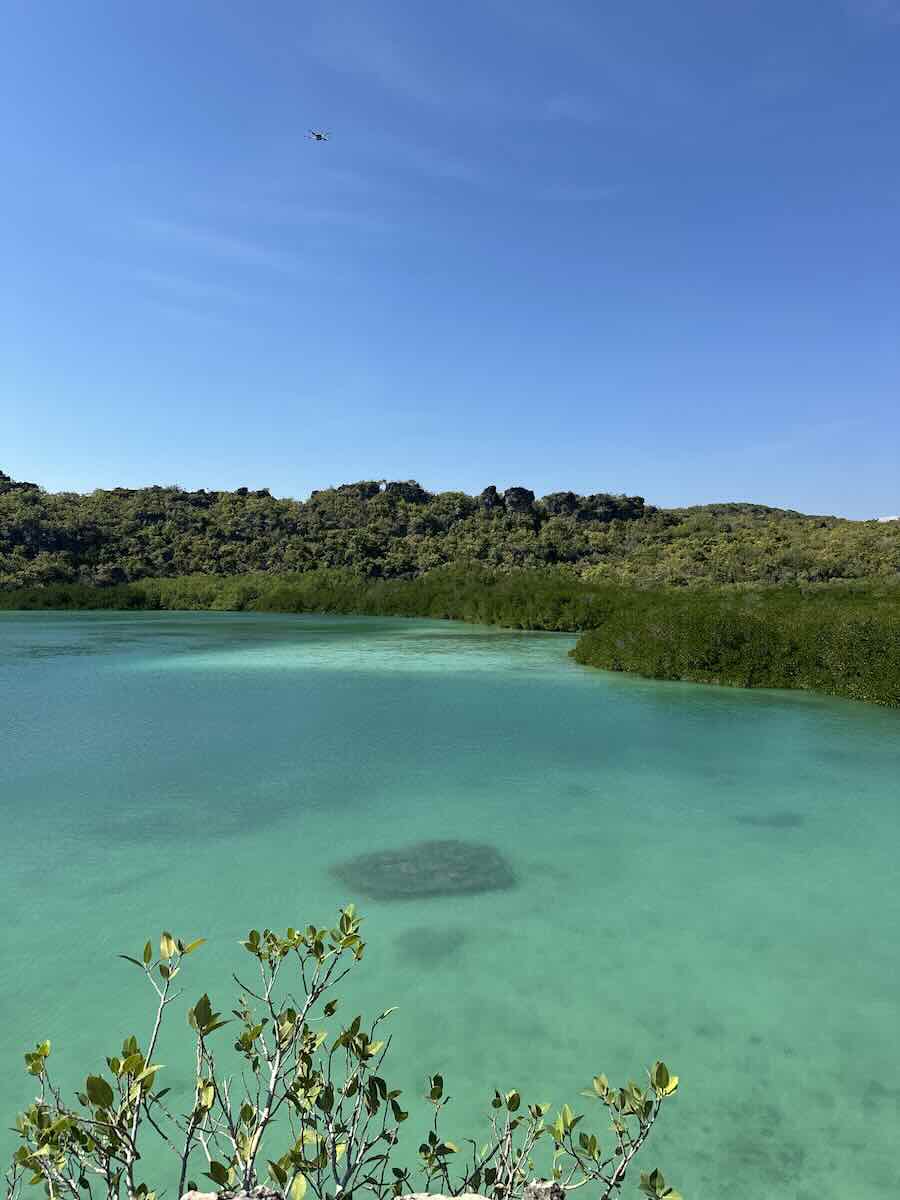 Turquoise water surrounded by limestone and greenery at Weekuri Lagoon in Sumba, Indonesia
