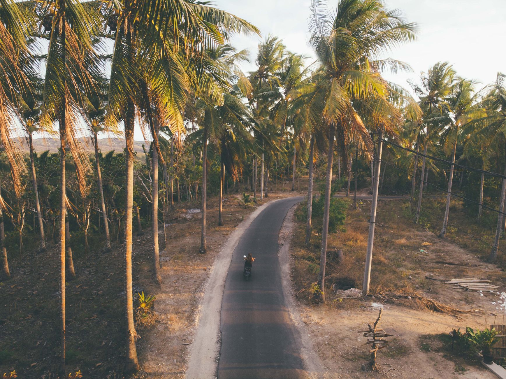 Scooter traveling along a palm-lined road in Rote Island, Indonesia