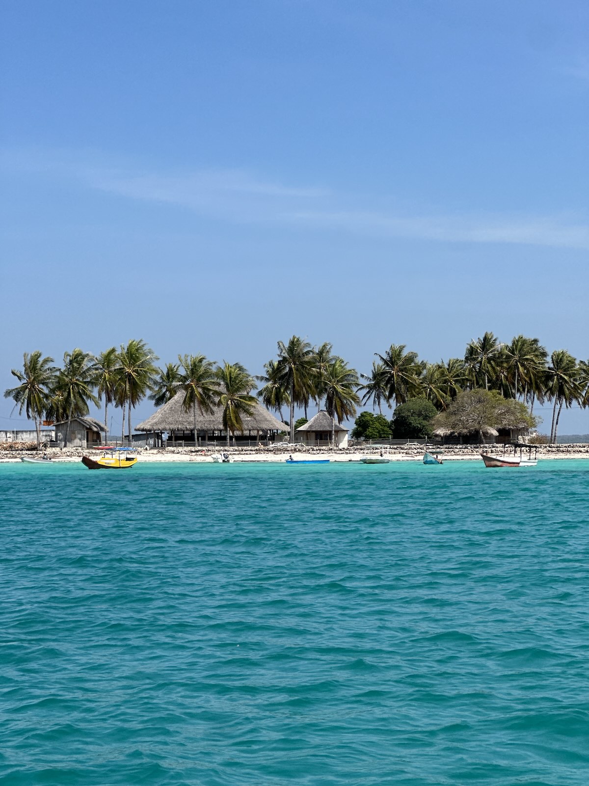Traditional boats beside a palm-lined coast with turquoise water in Rote Island, Indonesia