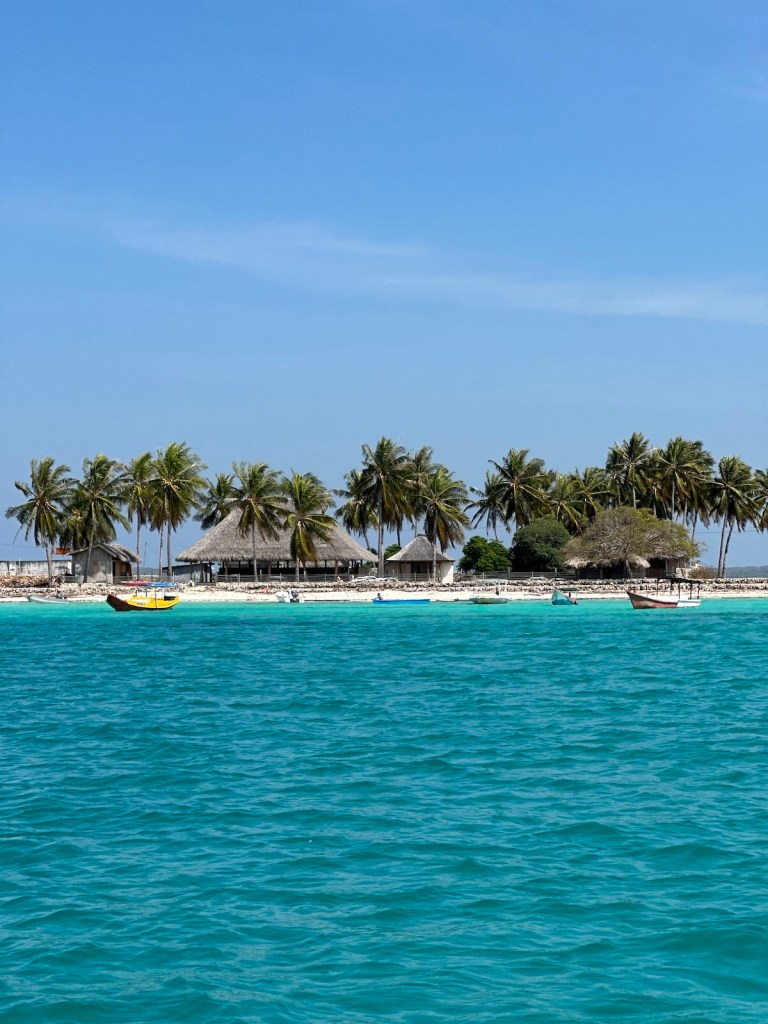 Traditional boats beside a palm-lined coast with turquoise water in Rote Island, Indonesia