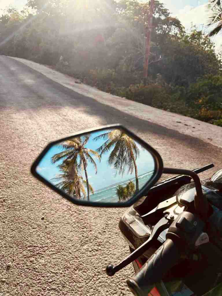 Palm trees reflected in a scooter mirror while exploring Rote Island, Indonesia