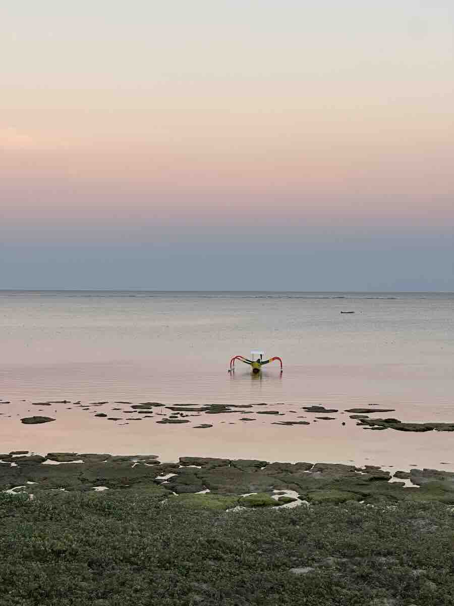 Traditional seaweed farming in shallow water at sunset in Rote Island