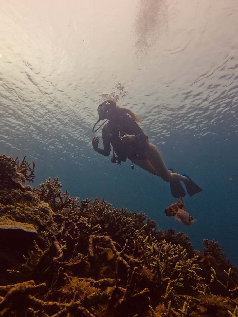 Scuba diver swimming above a coral reef near Sebayur Island in Komodo National Park.