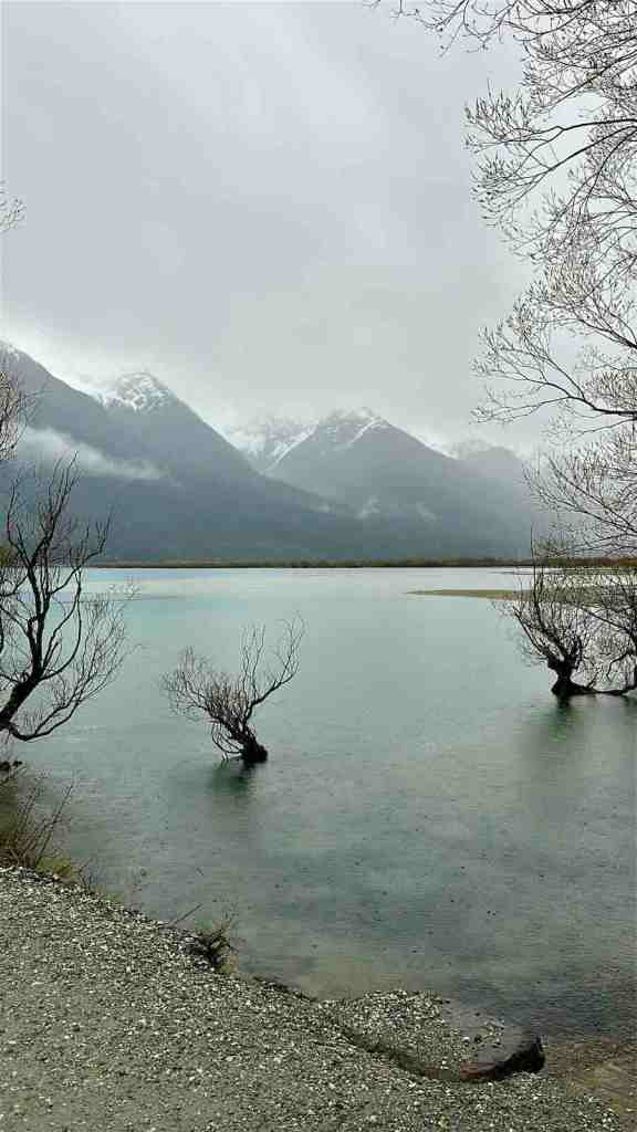 Misty Lake Wakatipu framed by steep mountains and a bare tree along the Glenorchy road.