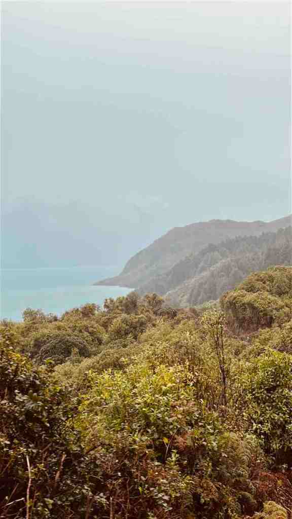 Lake and mountain views through vegetation on the road between Queenstown and Glenorchy.