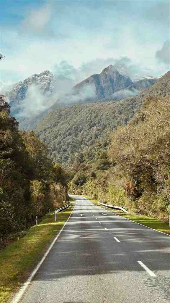 SH6 running through dense rainforest toward steep misty mountains on the Haast Pass route.
