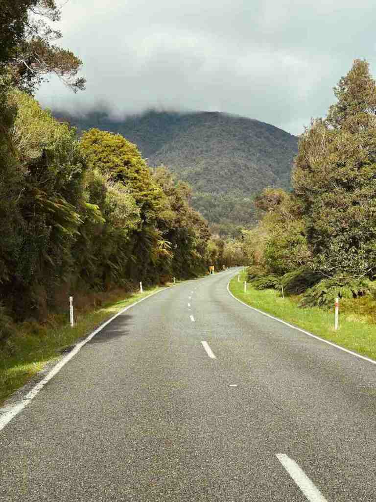 Winding road through native forest and mountains on the Haast Pass drive.