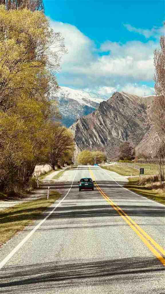 Tree-lined section of SH6 with mountains ahead on the drive through Kawarau Gorge.