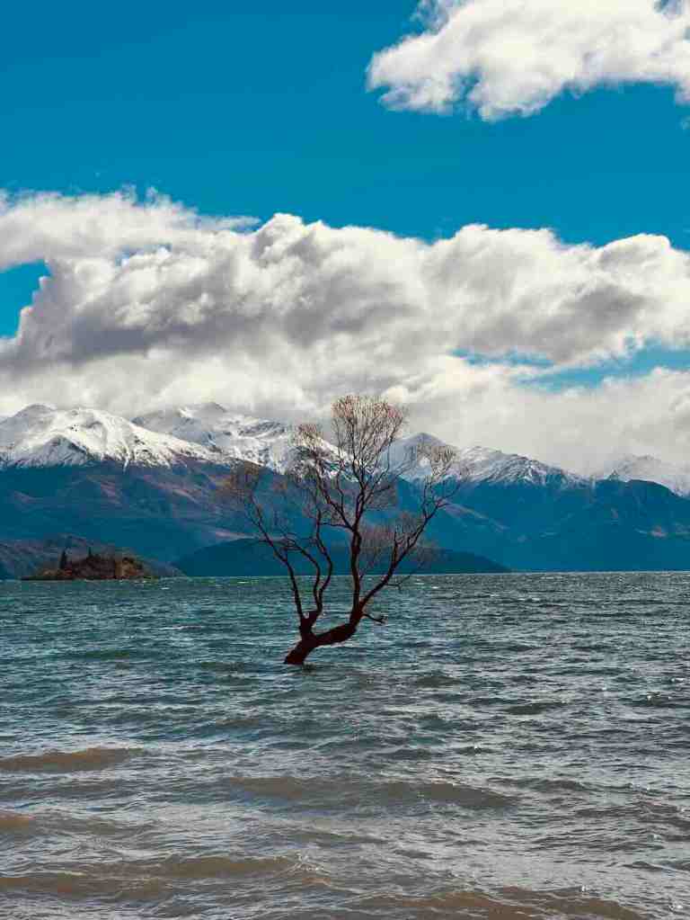 Lone willow tree standing in Lake Wānaka with snow-capped mountains and dramatic clouds in the background.