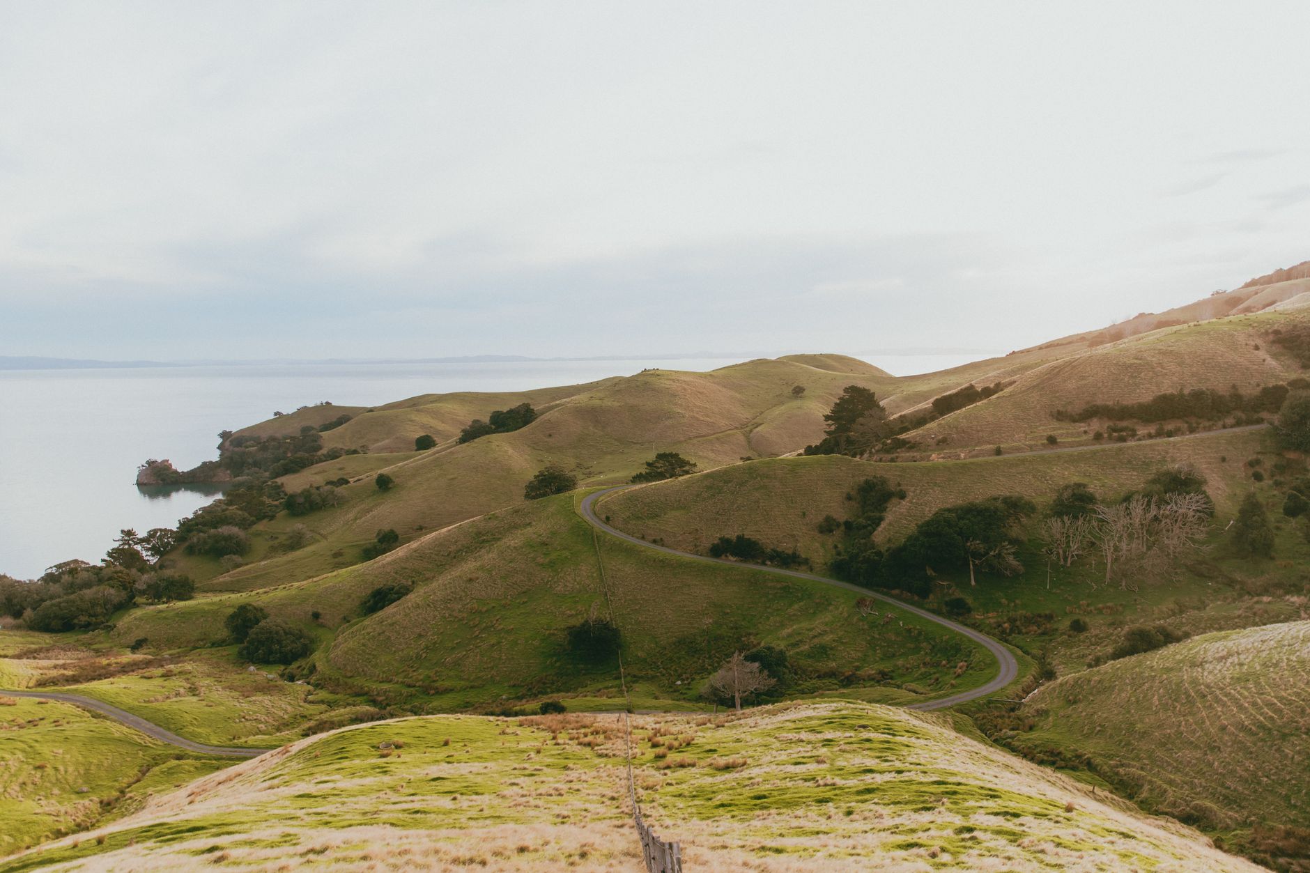 Rolling coastal hills descending toward the sea on New Zealand’s South Island.