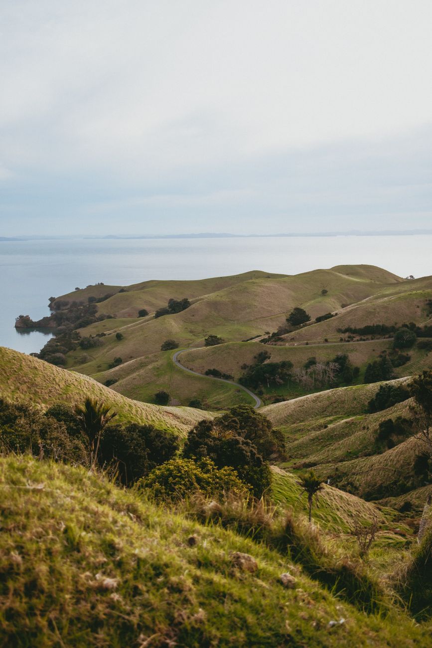 Rolling grass-covered coastal hills above the sea on New Zealand’s South Island.