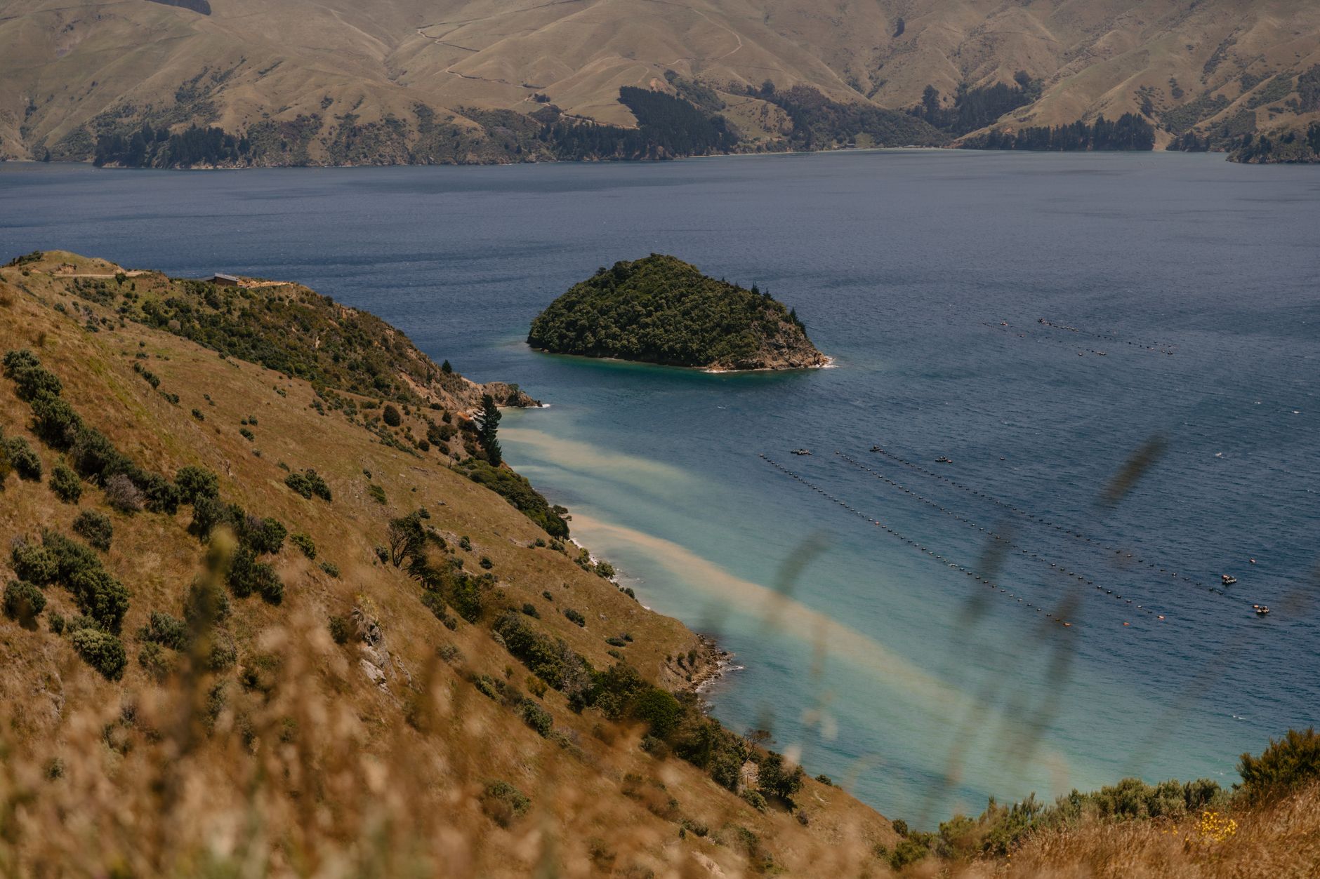 Rolling coastal hills descending toward the sea on New Zealand’s South Island.