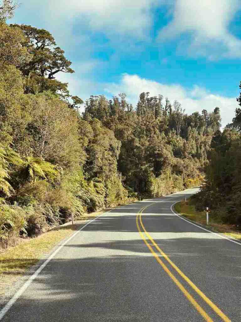 SH6 winding through dense native rainforest on New Zealand’s West Coast.