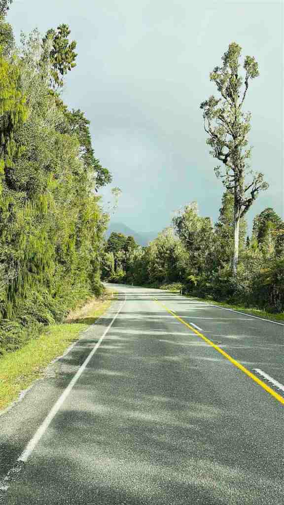 Straight section of SH6 surrounded by tall native forest on New Zealand’s West Coast.