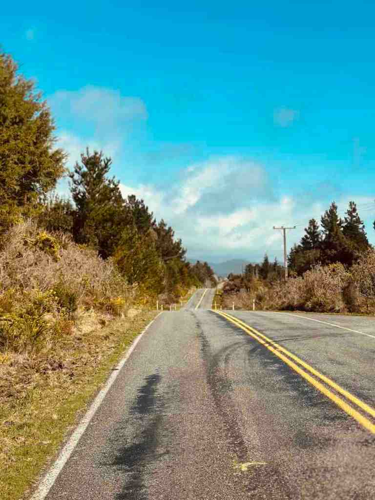 Open West Coast highway running through native vegetation beneath a bright blue sky.